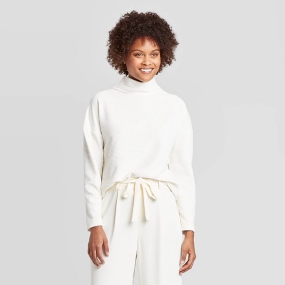 Nwot Mock Turtleneck Velour Rib Tunic 